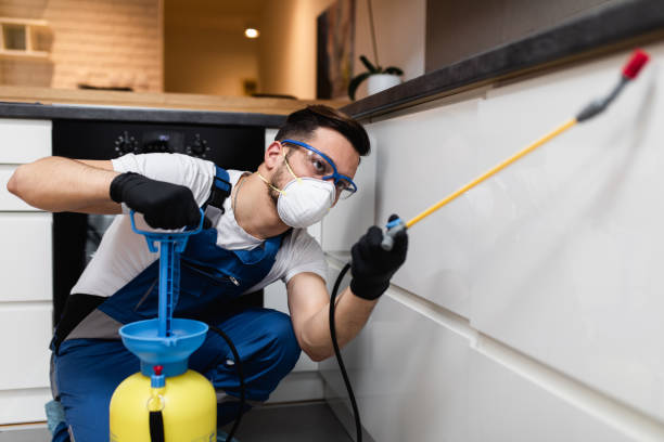 Best Best Pest Control Companies  in French Mp, CA