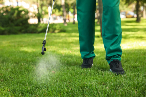 Best Insect Control  in French Mp, CA