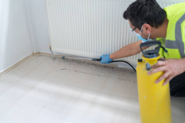 Pest Control for Restaurants in French Camp, CA