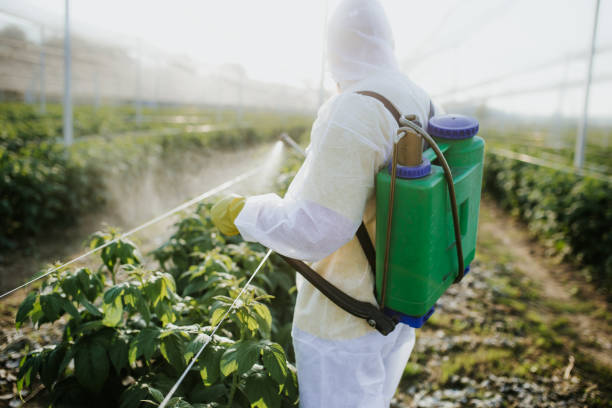 Best Pest Control Treatment  in French Mp, CA